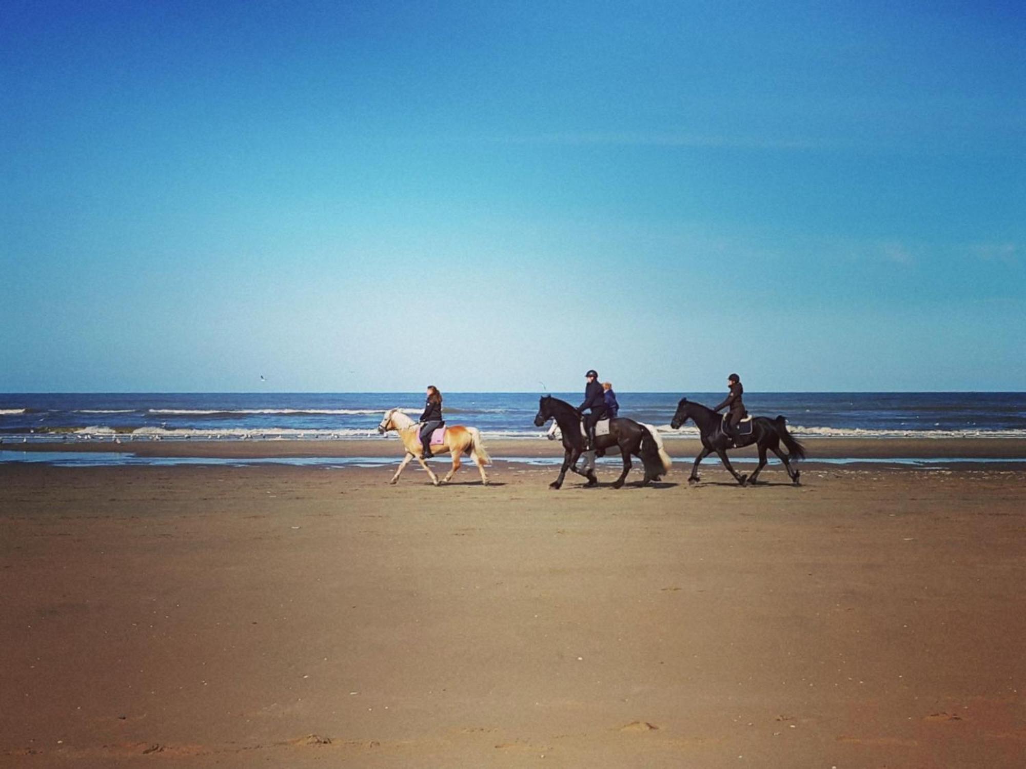 At The Promenade And Noordwijk